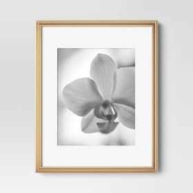 11"x14" Matted to 8"x10" Traditional Value Picture Frame (Color: Gold)
